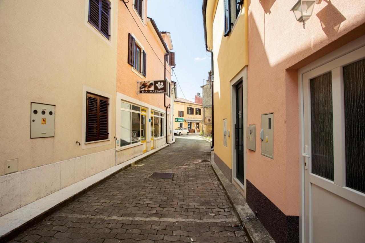 Studio Apartman Amalie Pazin Exteriér fotografie